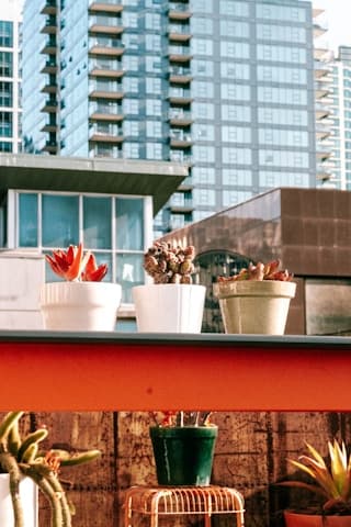 Terraza con área verde libre al exterior